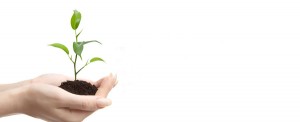 forside-billede-3 no text